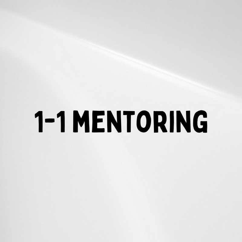 1-1 Mentoring